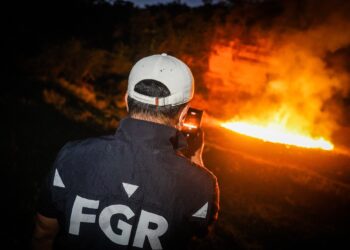 Destruyen más de 114 Kilogramos de drogas decomisadas 