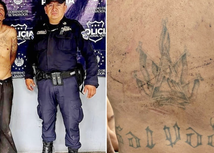 Capturan a gatillero con amplio historial delictivo