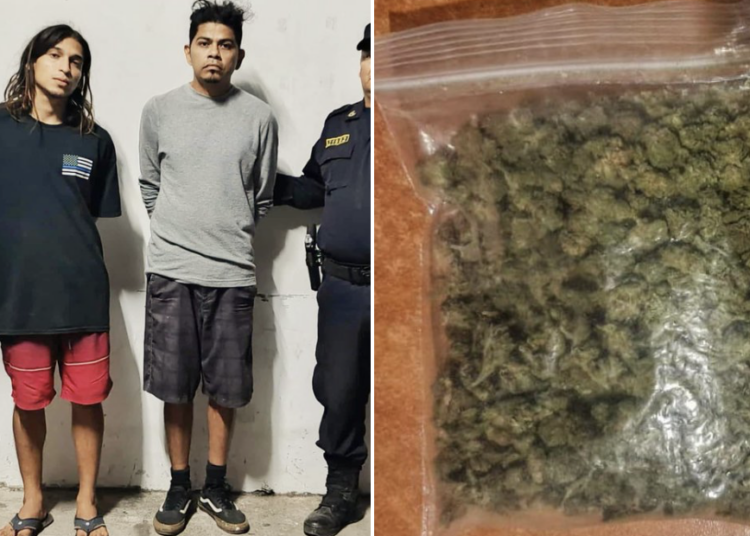 Capturan a dos hombres con cargamento de marihuana para comercialización
