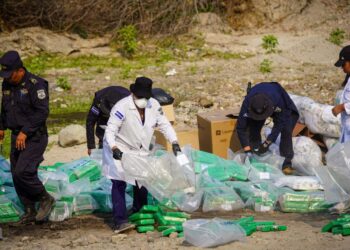 Autoridades destruyen drogas valorada en $333 mil