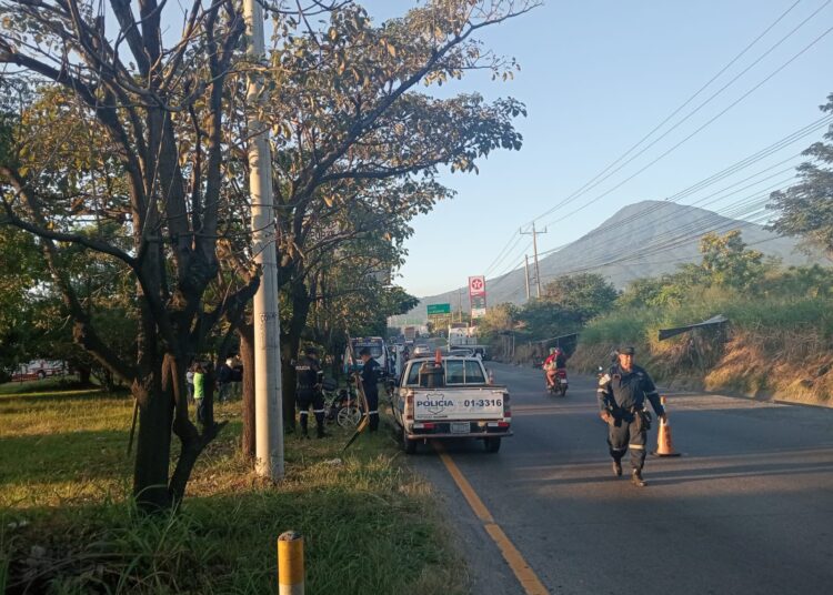 Motociclista fallece tras salirse de la vía e impactar contra un árbol 