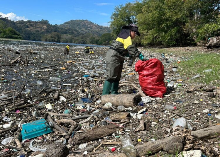 Intensifican labores de limpieza para rescatar el Lago de Suchitlán