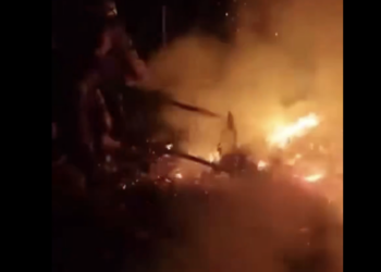 Fuerza Armada sofoca incendio de maleza 