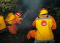 Cuerpo de Bomberos sofoca incendio de maleza en Lomas de Candelaria