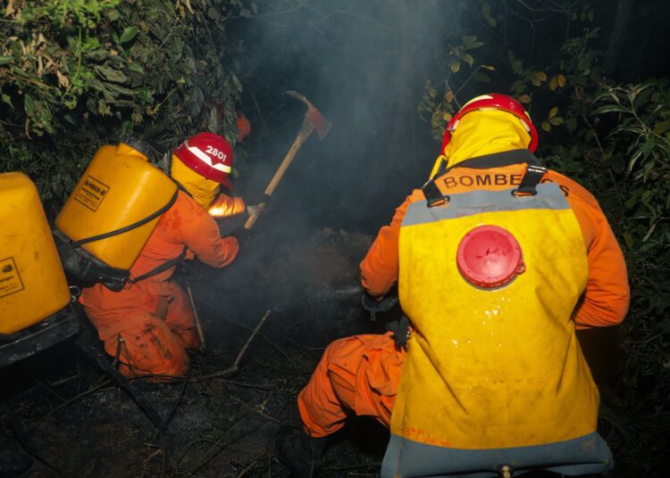 Cuerpo de Bomberos sofoca incendio de maleza en Lomas de Candelaria