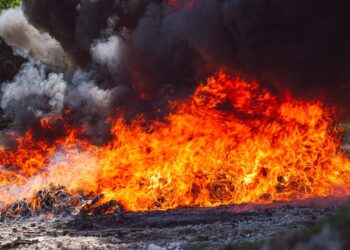 Destruyen cocaína valorada en más de 11 millones de dólares