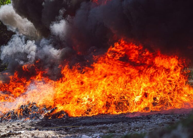 Destruyen cocaína valorada en más de 11 millones de dólares