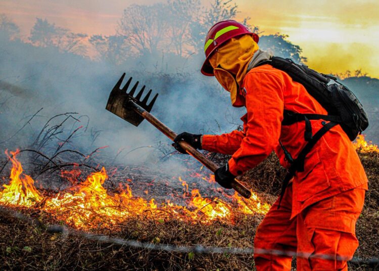 Bomberos sofocan incendio en terreno de maleza seca en Chalatenango