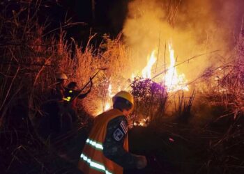 Fuerza Armada sofoca incendio de maleza en La Unión
