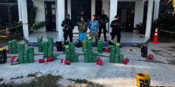 Incautan droga valorada en $9.4 millones y capturan a dos sujetos