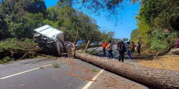 Bomberos rescatan a personas tras caída de árbol sobre vehículo 