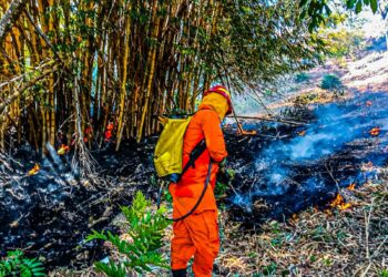 Bomberos sofocan incendio en terreno abandonado