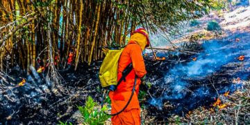 Bomberos sofocan incendio en terreno abandonado