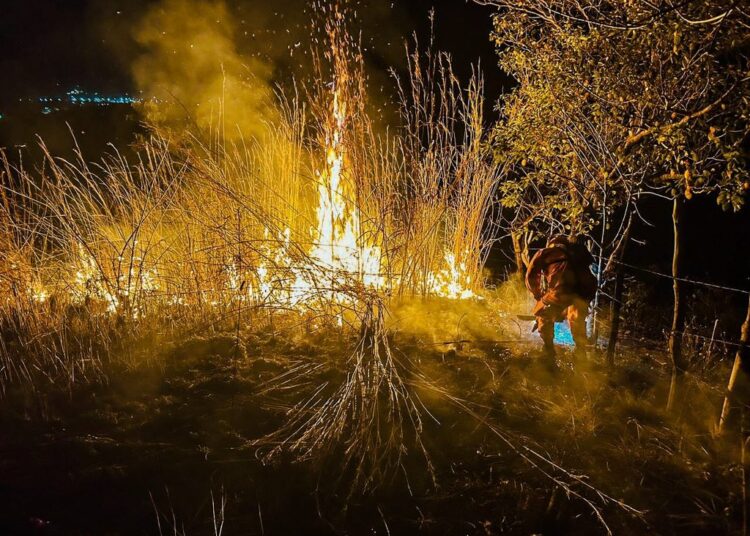 Bomberos sofocan incendio en predio baldío 