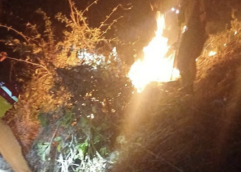 Bomberos combaten incendio forestal en Anamorós