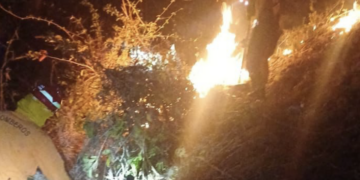 Bomberos combaten incendio forestal en Anamorós