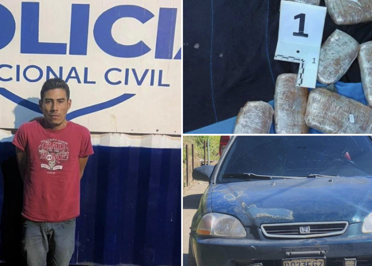 Bomberos combaten incendio forestal en Anamorós