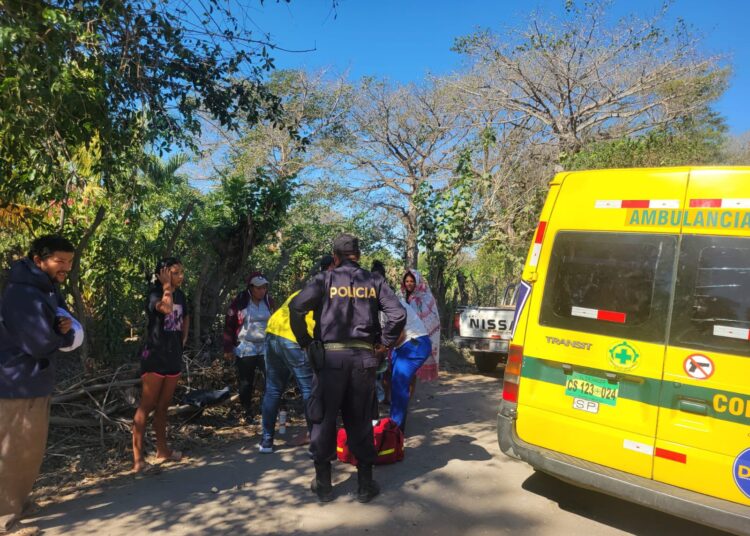 Ataque de abejas deja dos adultos mayores hospitalizados