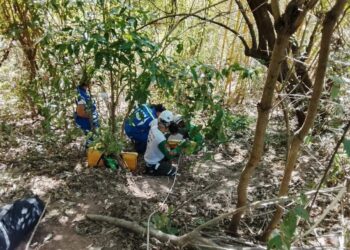 Rescatan a mujer que cayó a un barranco