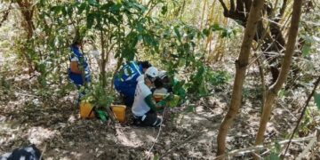 Rescatan a mujer que cayó a un barranco