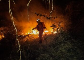 Cuerpo de Bomberos sofoca incendio en terreno 