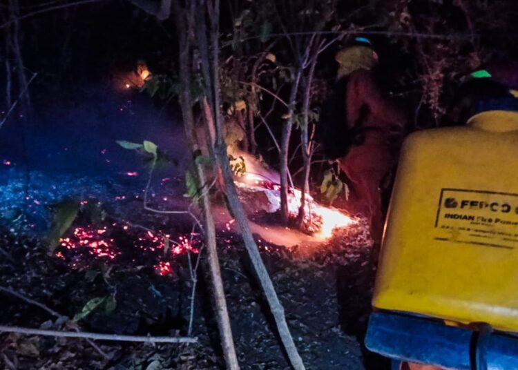 Cuerpo de Bomberos sofoca incendio en maleza seca 
