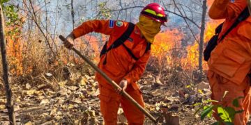 Bomberos combaten incendio forestal en el cantón Santa Inés