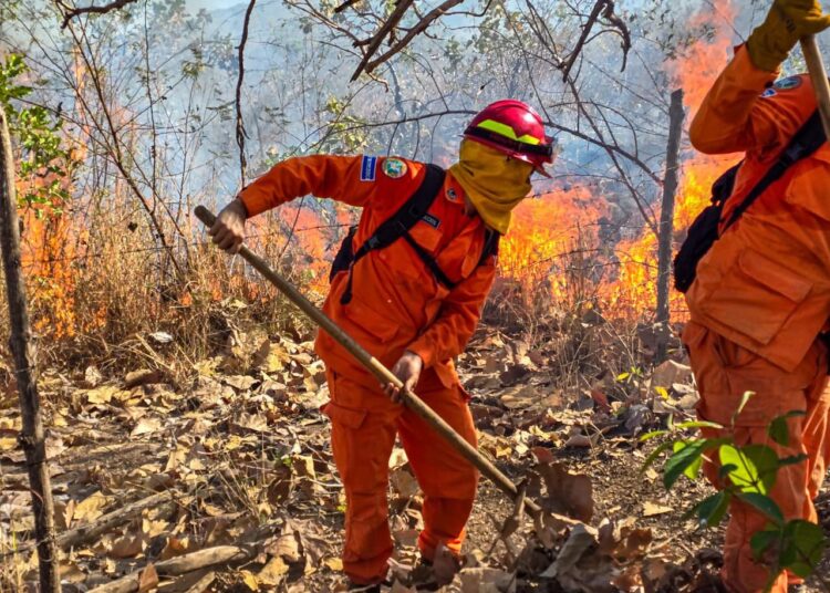 Bomberos combaten incendio forestal en el cantón Santa Inés 