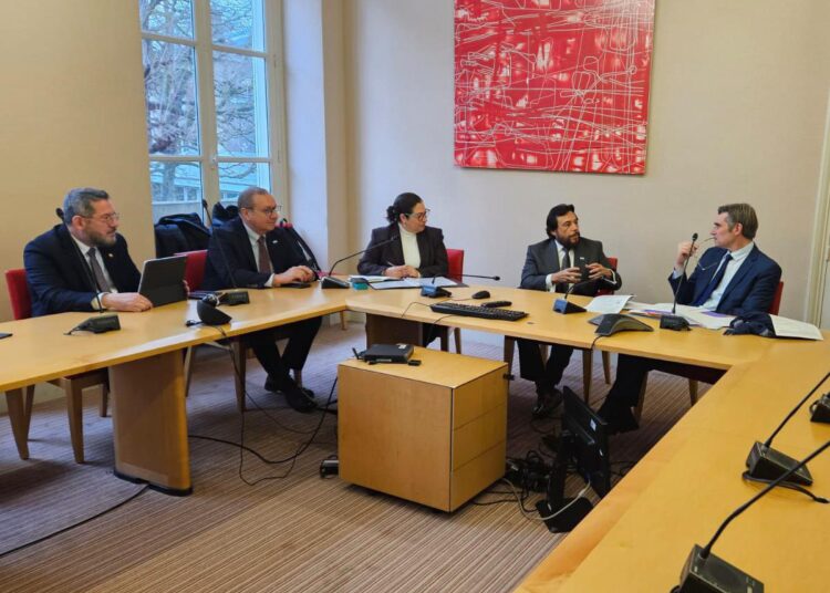 Delegación francesa visitará El Salvador para concretar inversiones