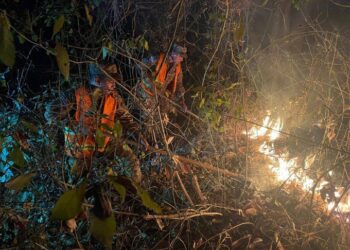 Sofocan incendio forestal en San Miguel