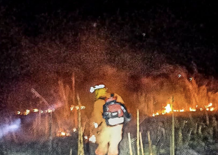 Bomberos sofocan incendio en maleza