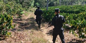 Policía Rural brinda seguridad en zonas agrícolas del país