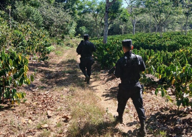 Policía Rural brinda seguridad en zonas agrícolas del país