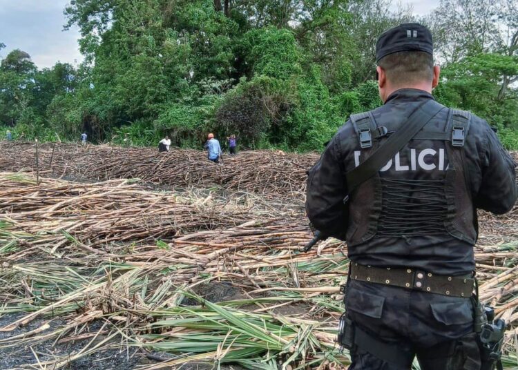 Policía garantiza seguridad en zonas rurales del país 