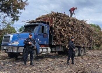 Refuerzan seguridad en paradas de buses y terminales 