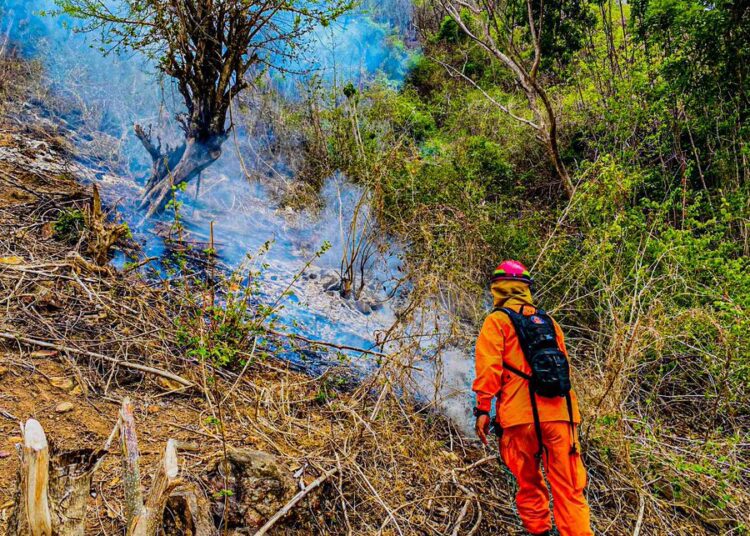 Bomberos sofocan incendio en terreno con maleza