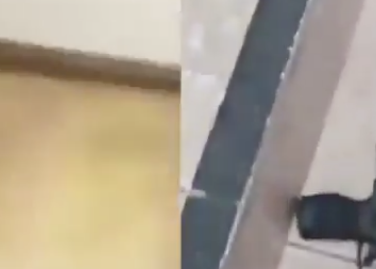 Ataque armado en escuela de Brasil deja dos fallecidos