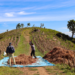 Producción agrícola de El Salvador registra rendimientos históricos en maíz y frijol durante ciclo 2026