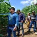 MAG proyecta cultivar más de 204 mil manzanas de terreno para asegurar producción alimentaria