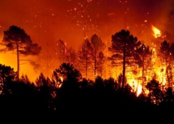 Incendios forestales azotan Norteamérica y España mientras inundaciones golpean Malasia