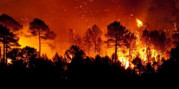 Incendios forestales azotan Norteamérica y España mientras inundaciones golpean Malasia