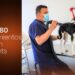Gobierno del Presidente Nayib Bukele acerca servicios veterinarios a las familias salvadoreñas